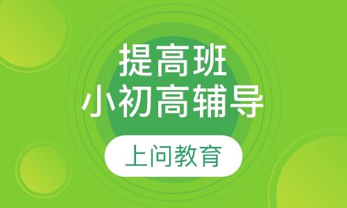 小初高辅导 提高班