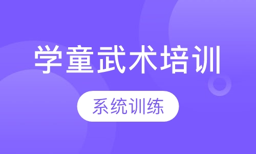 学童武术培训班