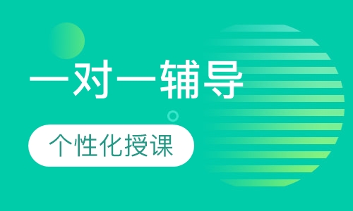 小学一对一专科辅导