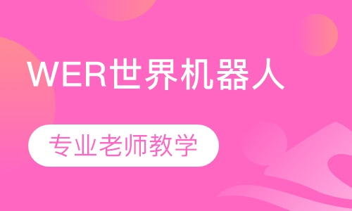 WER世界机器人大赛