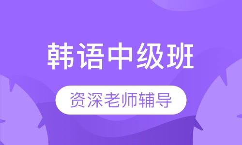韩语中级班-TOPI