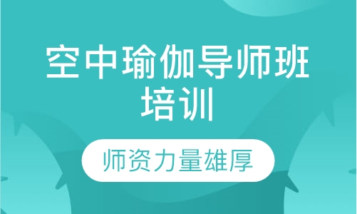 空中瑜伽导师班培训