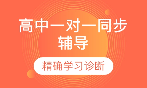 高中一对一同步辅导
