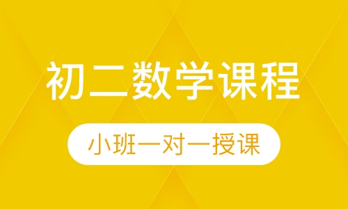 初二数学同步课程