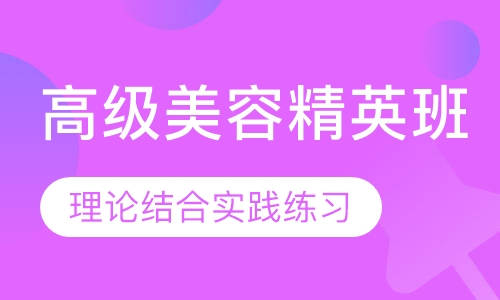 高级精英班