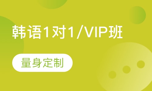 韩语1对1/VIP班
