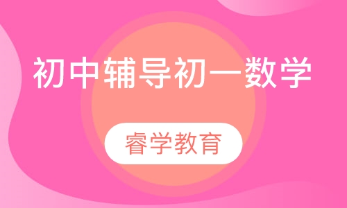 初中辅导初一数学