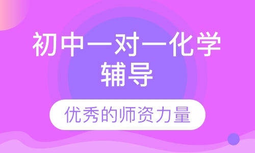 初中一对一化学辅导