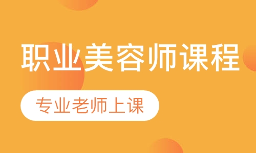 职业师课程