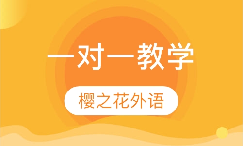 一对一教学