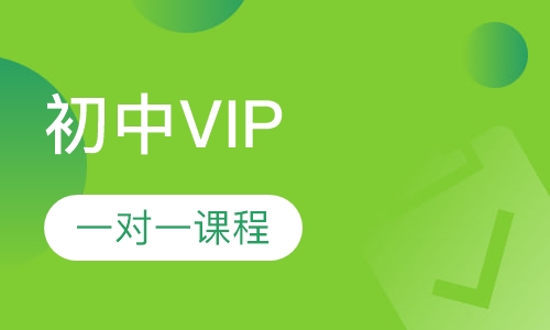 初中VIP一对一课程