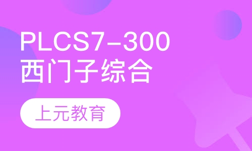 西门子PLC S7-300综合班