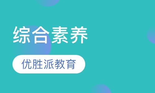 综合素养