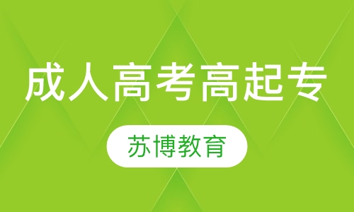 成人高考高起专精讲班