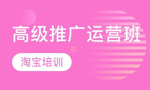 高级推广运营班