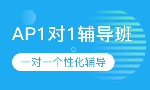 AP1对1辅导班