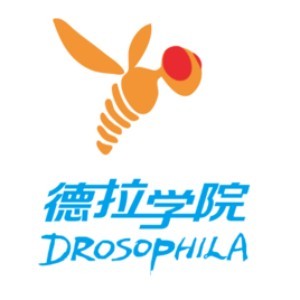 成都德拉学院