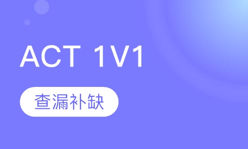 美联英语ACT 1V1课程