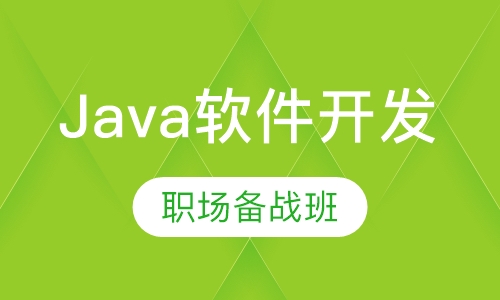 Java软件开发职场备战班