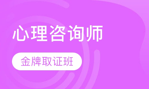 心理咨询师金牌取证班