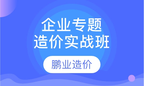 企业专题造价实战班