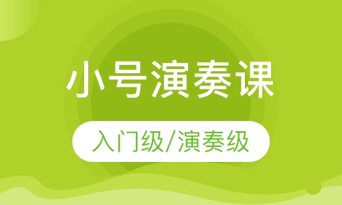 小号 入门级/演奏级