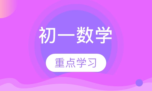 初一数学辅导