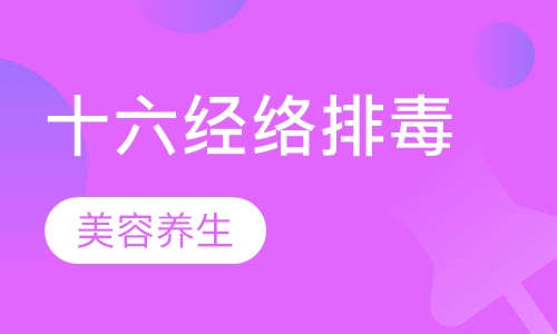 十六经络排毒养生班