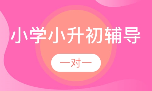 小学一对一小升初辅导