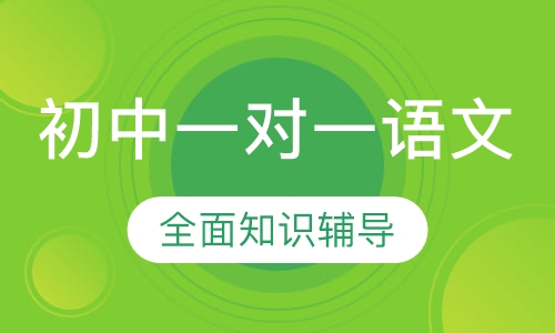 初中一对一语文辅导
