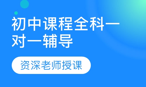 初中课程一对一辅导