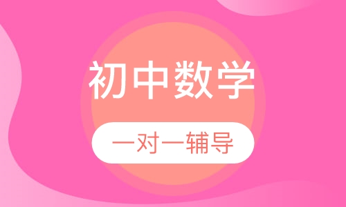 初中数学一对一辅导