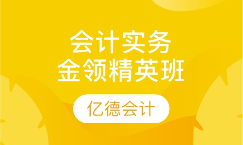 会计实务金领精英班