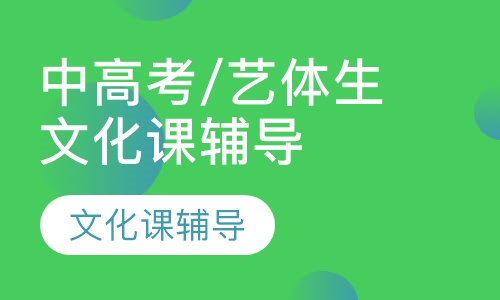 中高考/艺体生文化课辅导