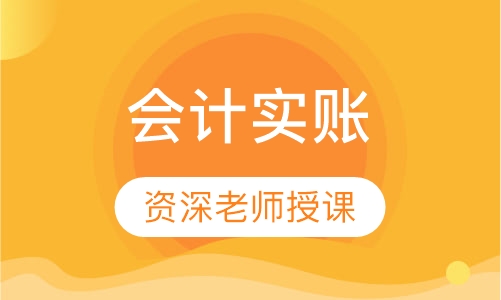 会计实账