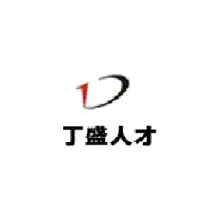 上海丁盛人才