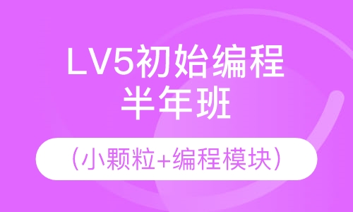 LV5初始编程（小颗粒+编程模块）半年班