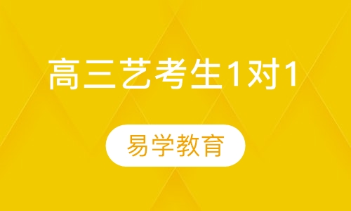 高三（艺考生）1对1
