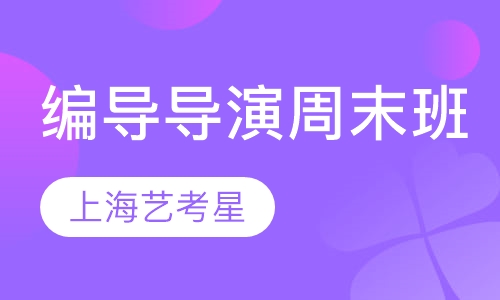 编导导演周末班