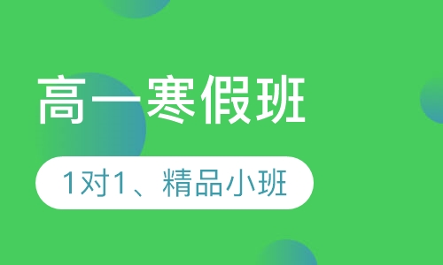 高一寒假班