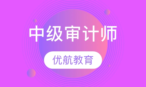 中级审计师