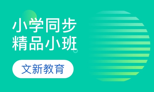 小学同步精品小班