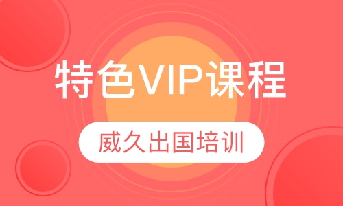 特色VIP课程