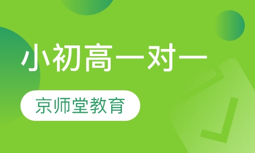 小初高一对一专属私人定制课程