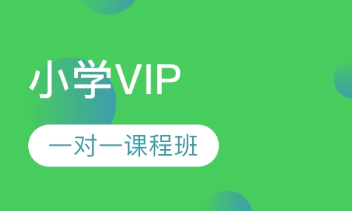 小学VIP一对一课程班