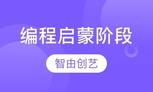 编程启蒙阶段