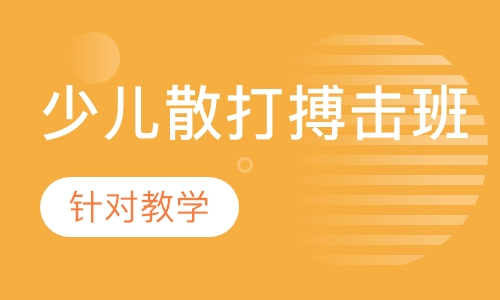 青少年散打搏击班