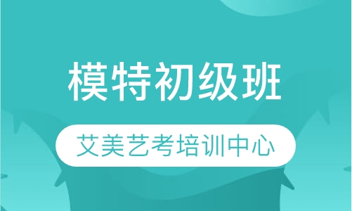 模特初级班