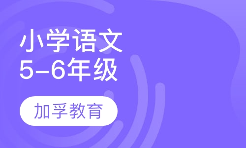 小学5-6年级语文辅导