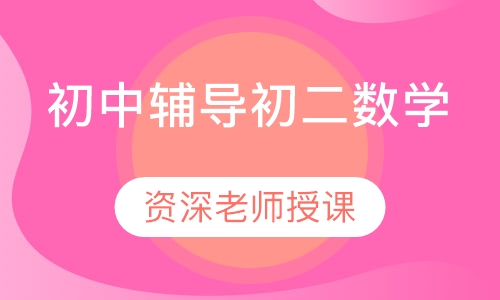 初中辅导初二数学